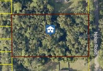 EUREKA HAMMOCK - Land