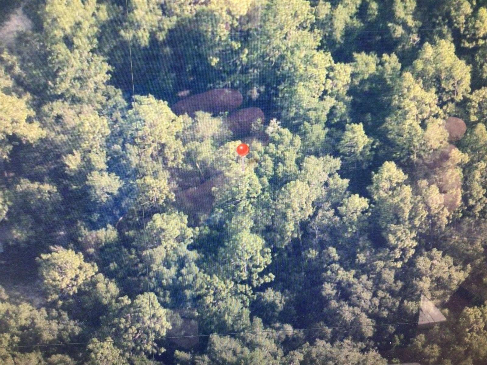 FLORIDA HIGHLANDS - Land