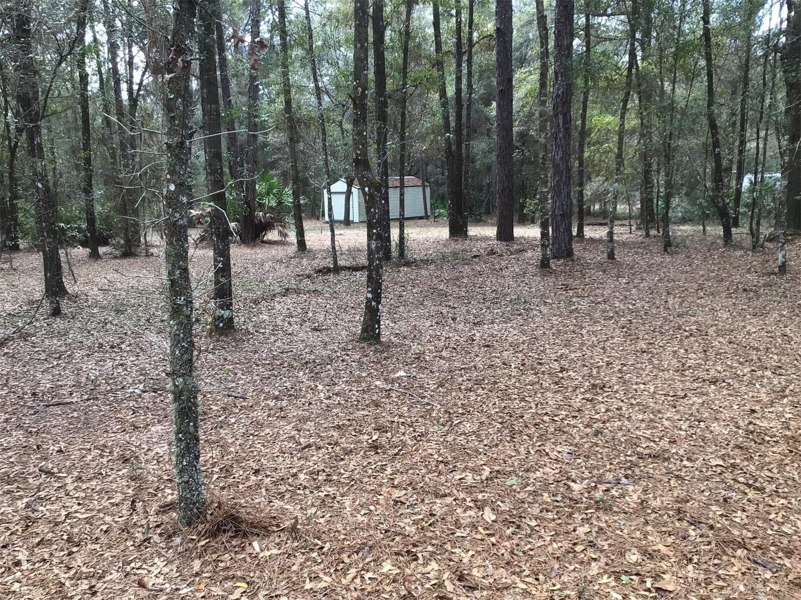 FLORIDA HIGHLANDS - Land