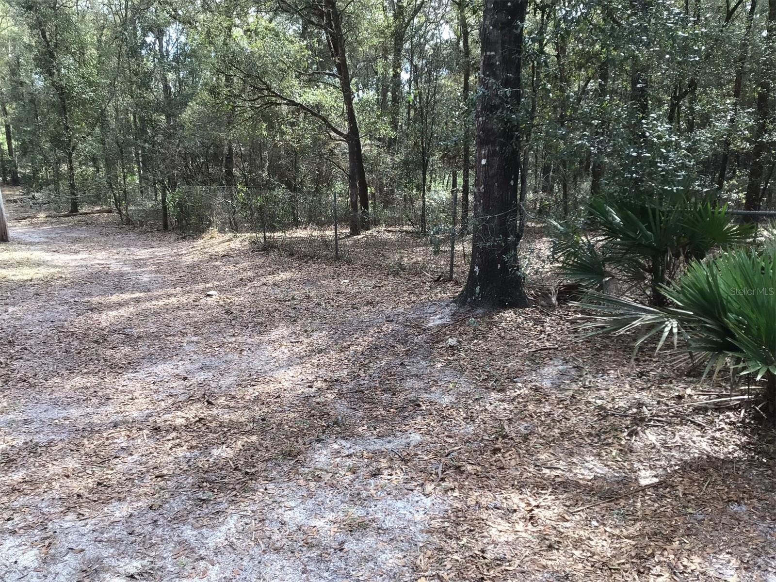 FLORIDA HIGHLANDS - Land