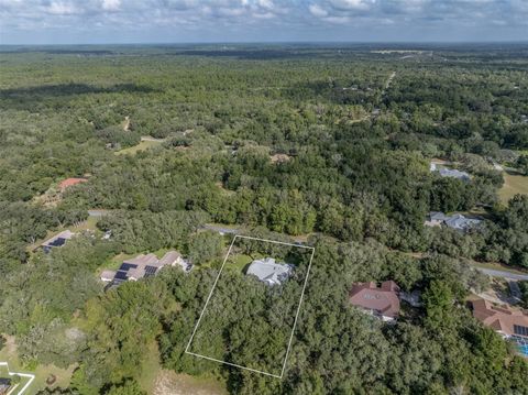 Tiny photo for 1540 E Wedgewood Lane, Hernando, FL 34442 (MLS # OM724444)