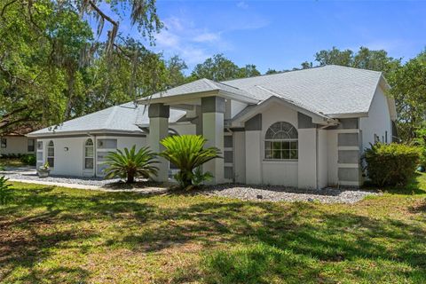 Tiny photo for 1540 E Wedgewood Lane, Hernando, FL 34442 (MLS # OM724444)