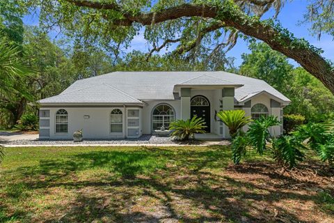Tiny photo for 1540 E Wedgewood Lane, Hernando, FL 34442 (MLS # OM724444)