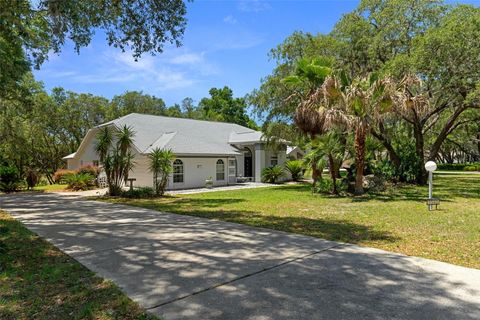 Tiny photo for 1540 E Wedgewood Lane, Hernando, FL 34442 (MLS # OM724444)
