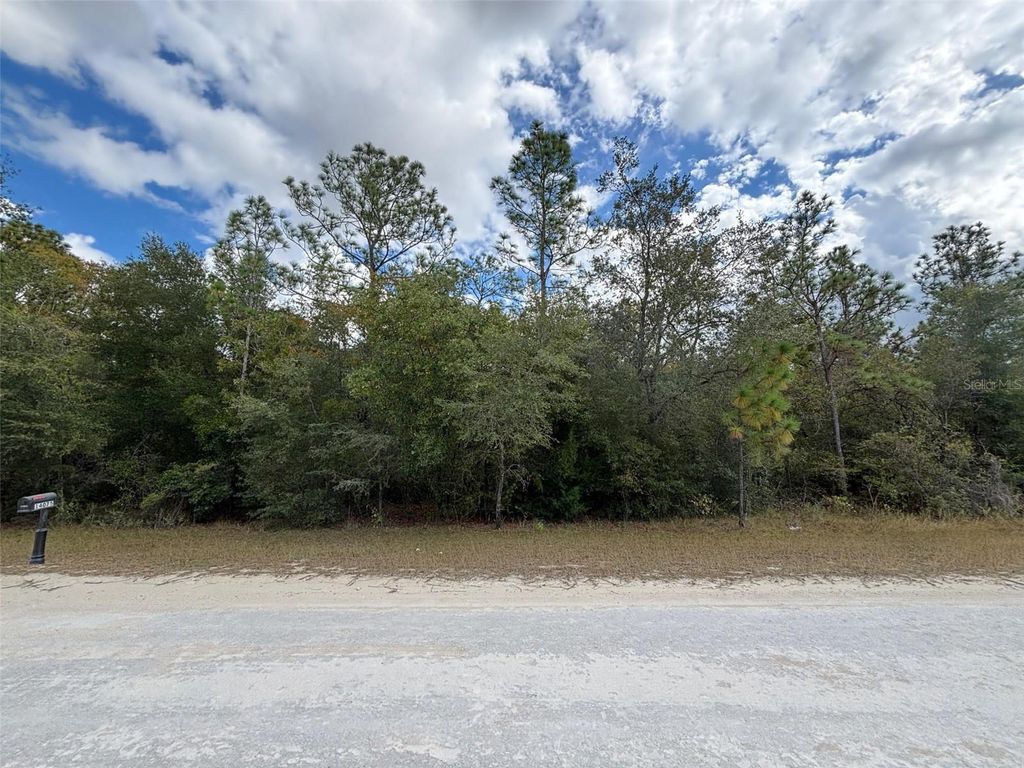 Photo of 17 Canyon Swallow Road, Weeki Wachee, FL 34614 (MLS # W7881620)