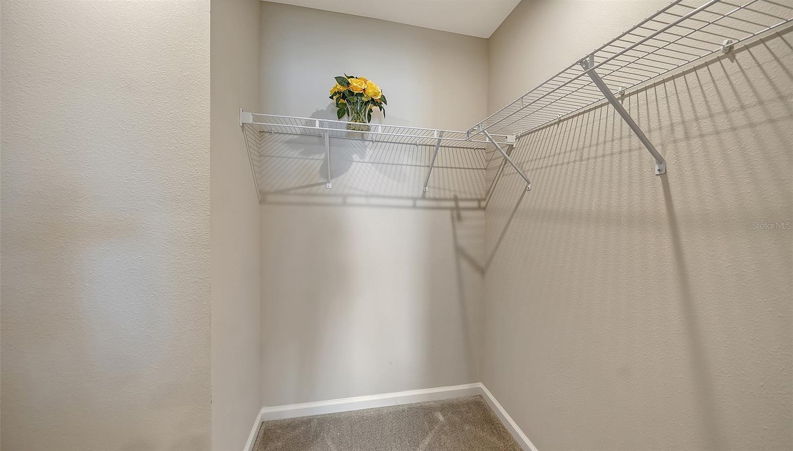 AVALON WOODS - Residential