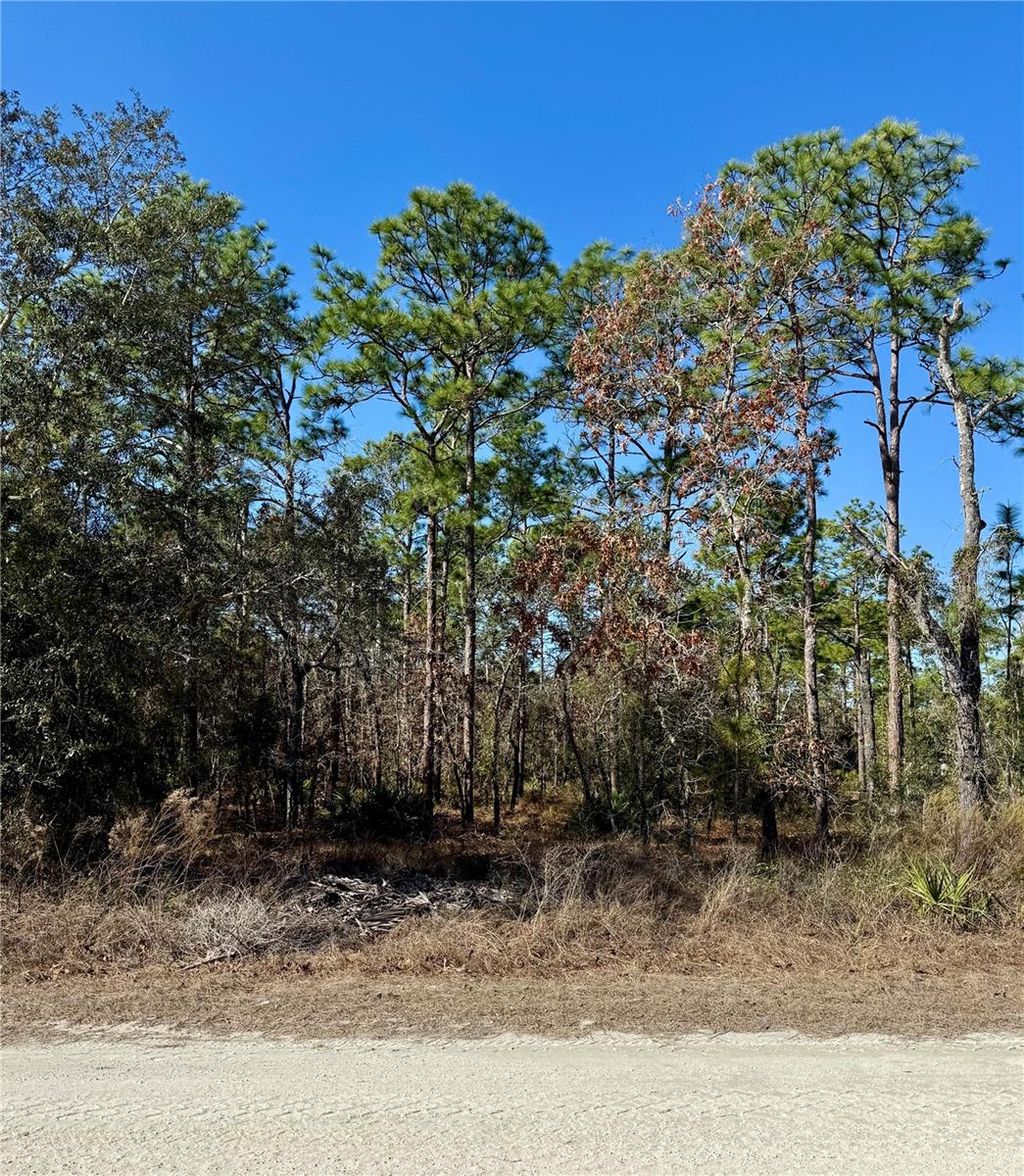 Photo of 0 Macassar Road, Weeki Wachee, FL 34614 (MLS # TB8478268)