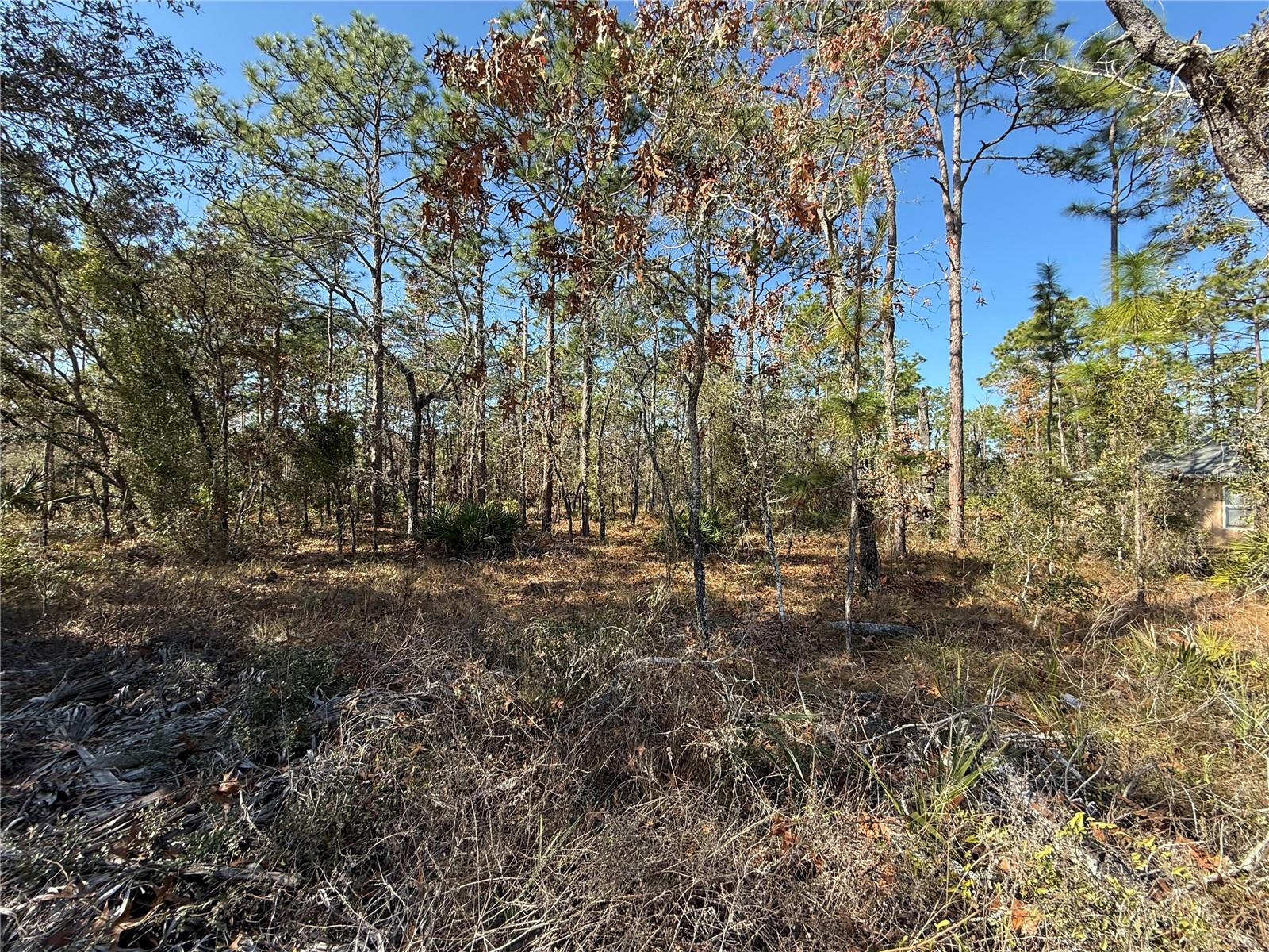 ROYAL HIGHLANDS - Land