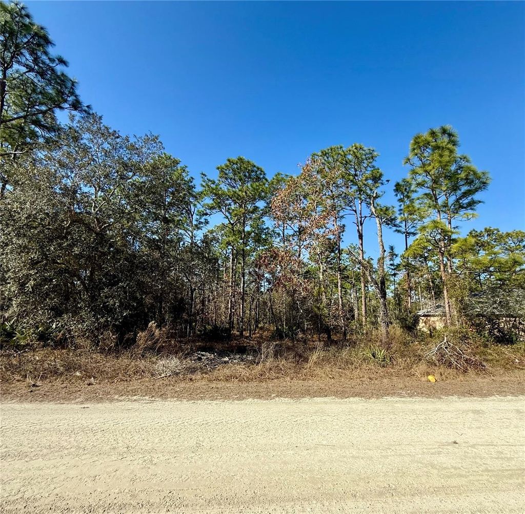 Photo of 0 Macassar Road, Weeki Wachee, FL 34614 (MLS # TB8478268)