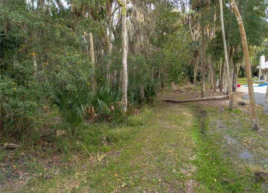 BEAUTIFUL LOT in Stone Island. Stone Island offers paved winding roads with golf cart trails. Florida Living!! Boat Ramp within this community for access to canals and Lake Monroe. This waterway leads right to St. Johns River. So much potential in this community! Come enjoy boat ramp, bike trails, tennis, horse stables, and sunsets. Centrally located to I-4 halfway between Orlando and the Beaches. Buyer to verify information on the lot. Buyer must do own research with county to assess ability to build. 
Lot with some wetland per the county