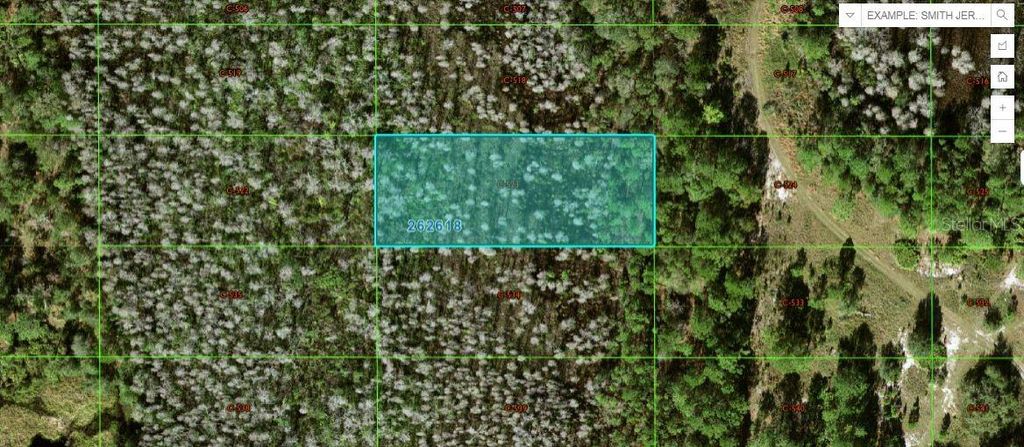 Photo of Old Grade Rd, Polk City, FL 33868 (MLS # O6265122)