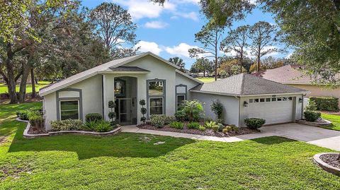 A home in LADY LAKE