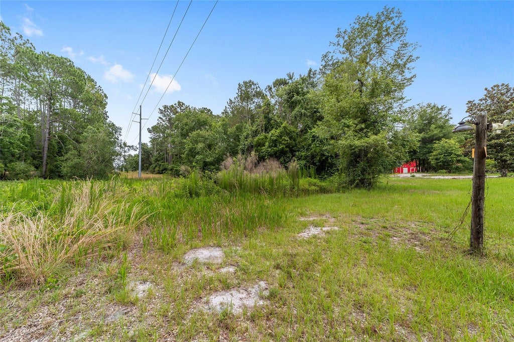 Photo of 11895 SE 136th Court, Ocklawaha, FL 32179 (MLS # OM726397)