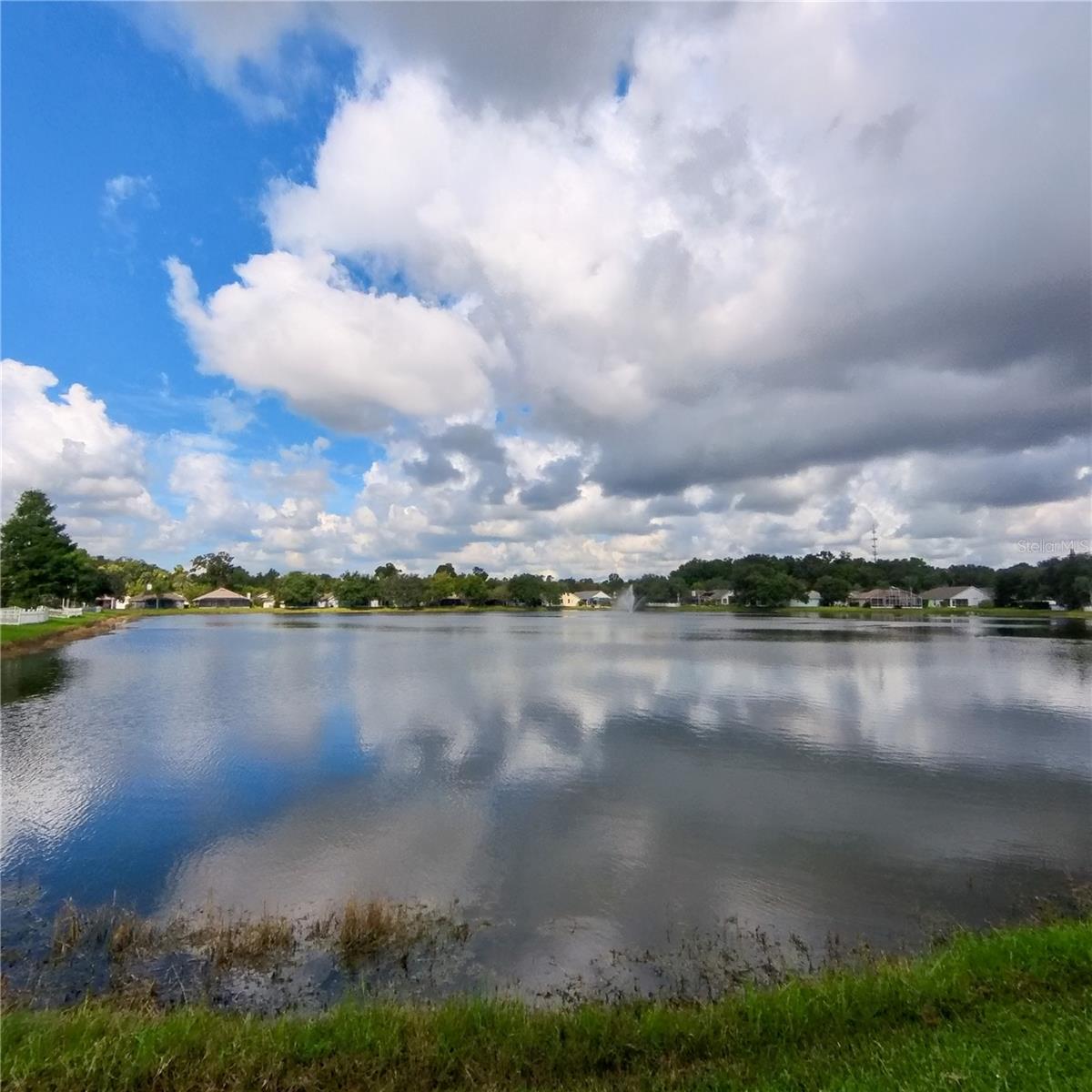 541 CORAL TRACE BOULEVARD