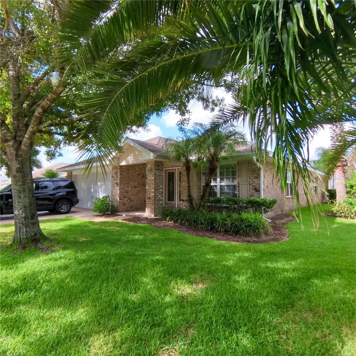 541 CORAL TRACE BOULEVARD