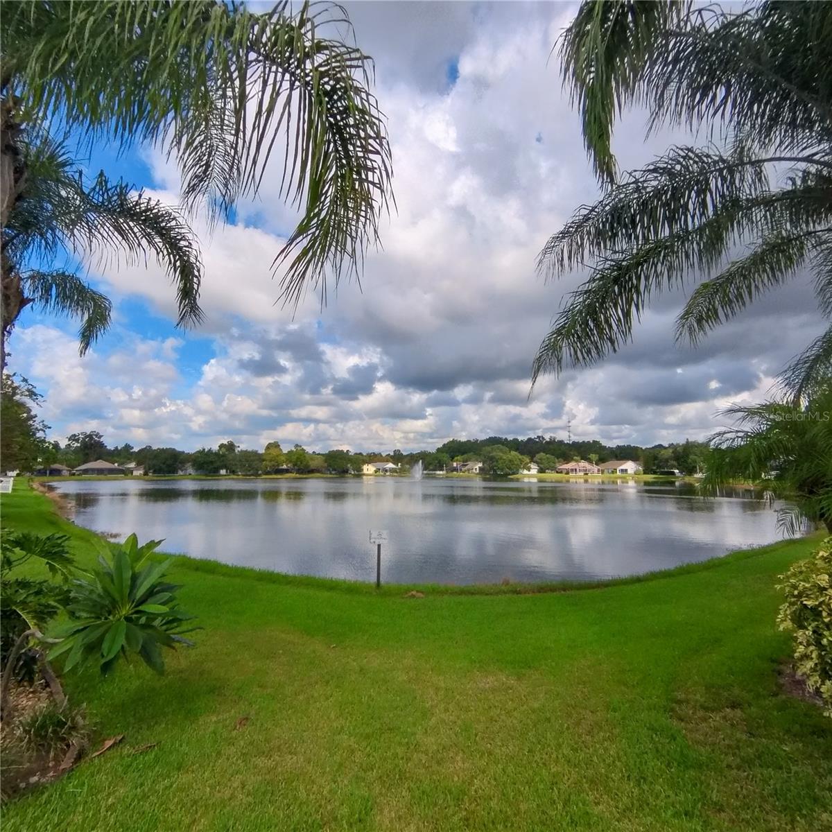 541 CORAL TRACE BOULEVARD