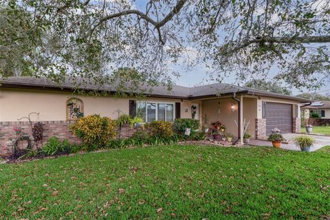 A home in DELTONA