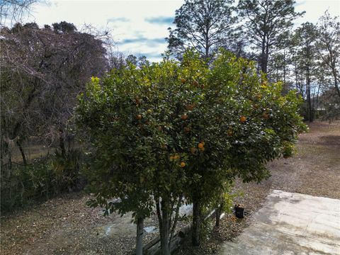 A home in OCALA