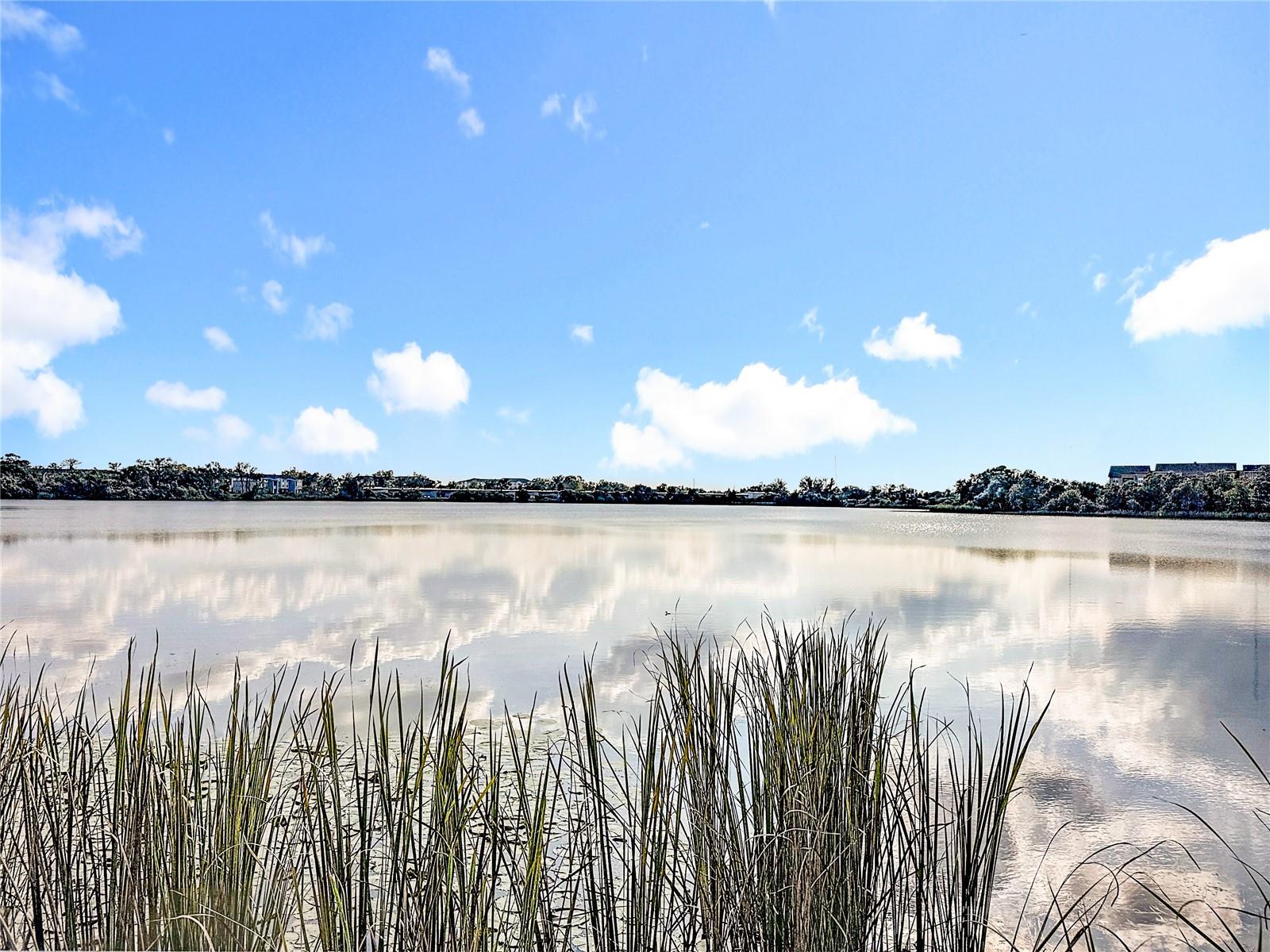 VISCONTI WEST BLDG 5 - Residential