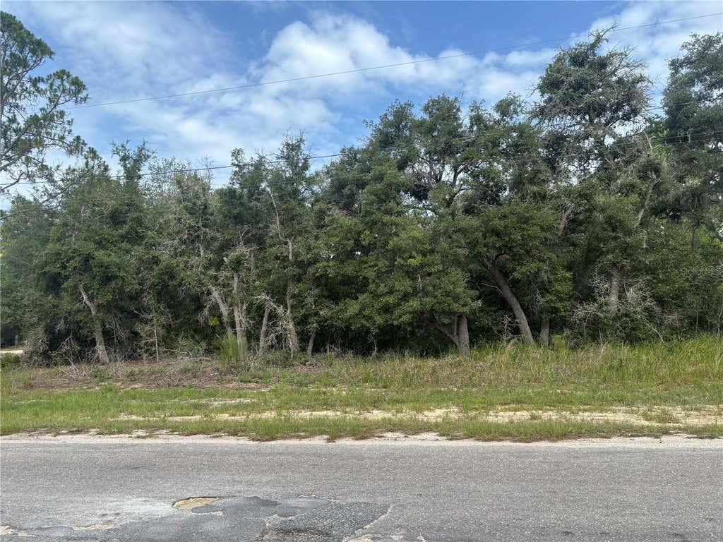 Photo of 0000 Malauka Place, Ocklawaha, FL 32179 (MLS # OM728998)
