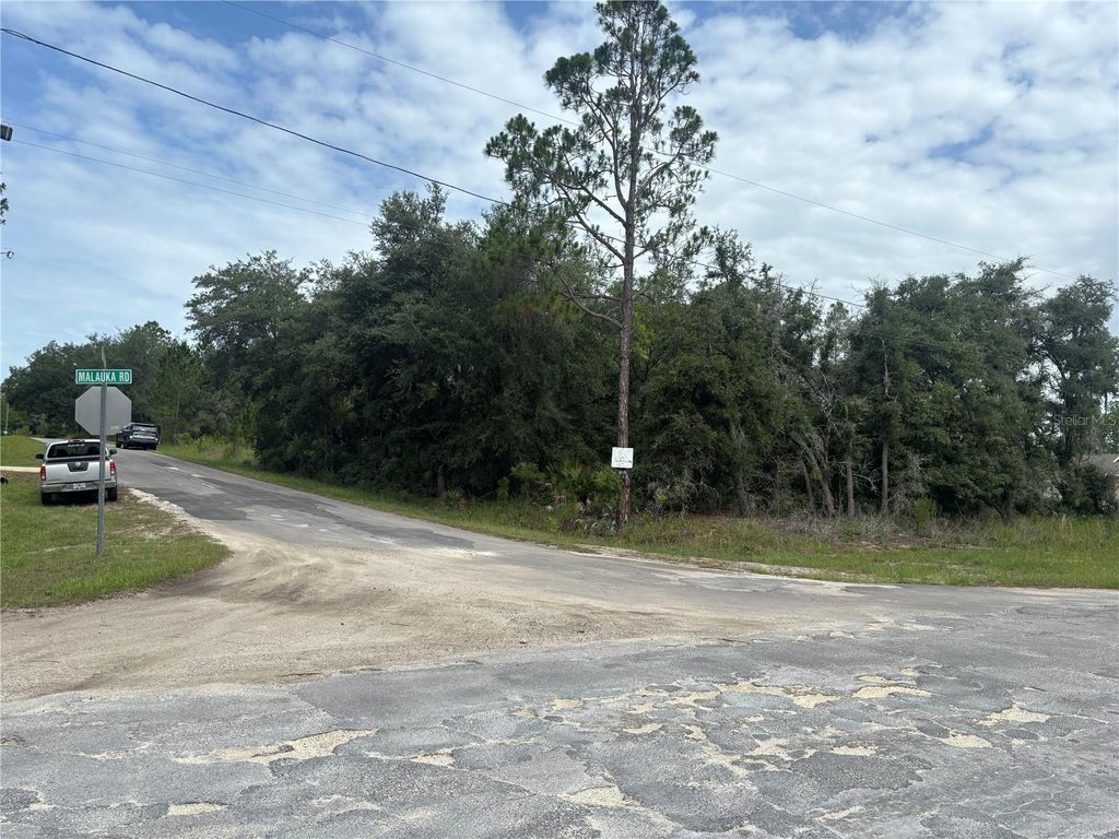 Photo of 0000 Malauka Place, Ocklawaha, FL 32179 (MLS # OM728998)