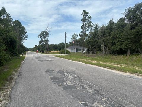 Photo of 0000 Malauka Place, Ocklawaha, FL 32179 (MLS # OM728998)