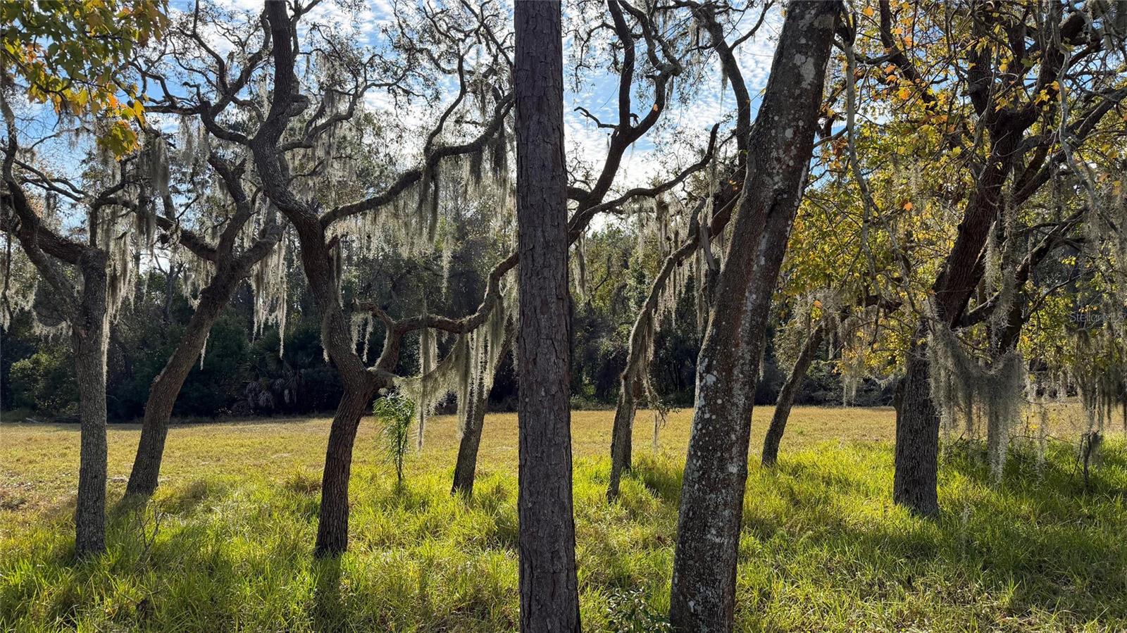 VALLEY WOOD - Residential