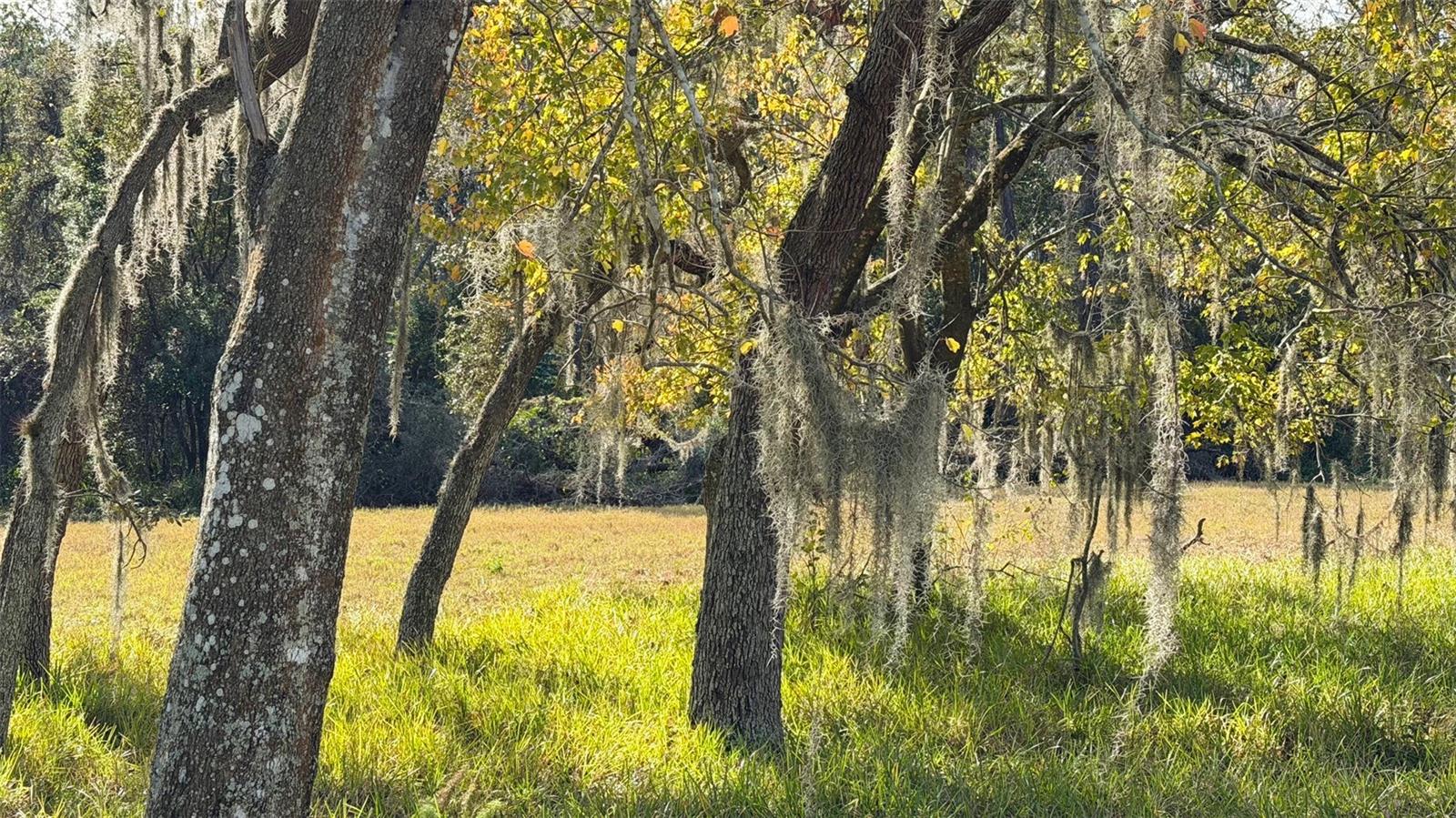 VALLEY WOOD - Residential