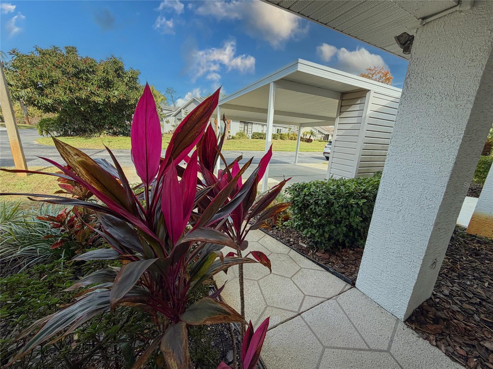 VALLEY WOOD - Residential