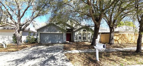 Photo of 4716 Little Denise Court, Valrico, FL 33594 (MLS # L4960268)