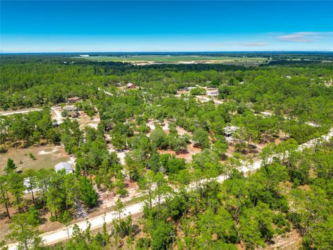 Tiny photo for 14671 SE 25th Street, Morriston, FL 32668 (MLS # S5149653)