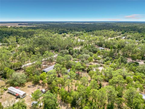Tiny photo for 14671 SE 25th Street, Morriston, FL 32668 (MLS # S5149653)