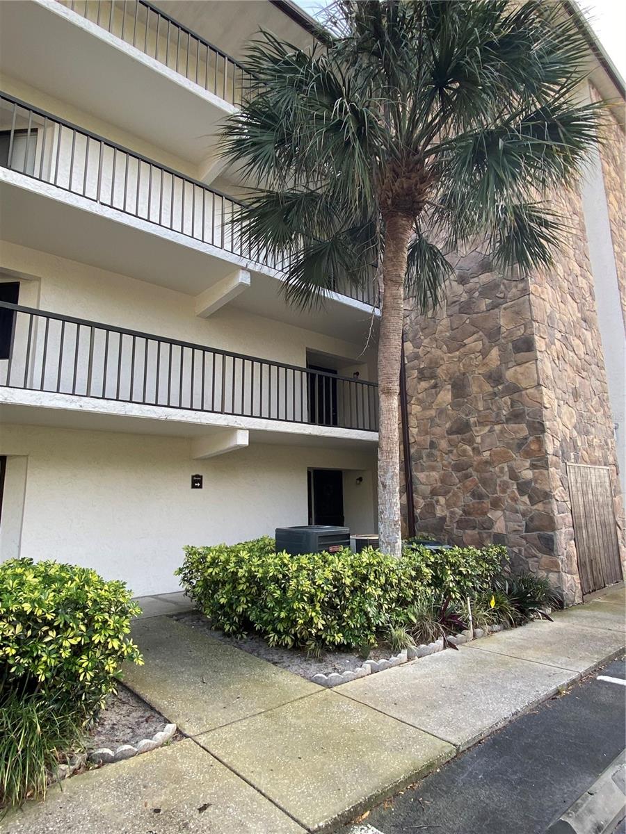 2037 SAN MARCOS DRIVE SE 217