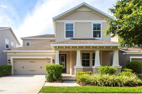 7113 PARK TREE DRIVE TAMPA FL 33625