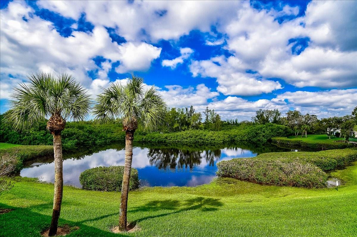 WATERSIDE 1 AT BIRD BAY - Residential