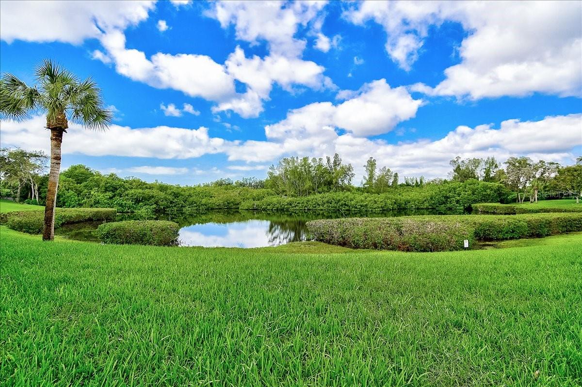 WATERSIDE 1 AT BIRD BAY - Residential