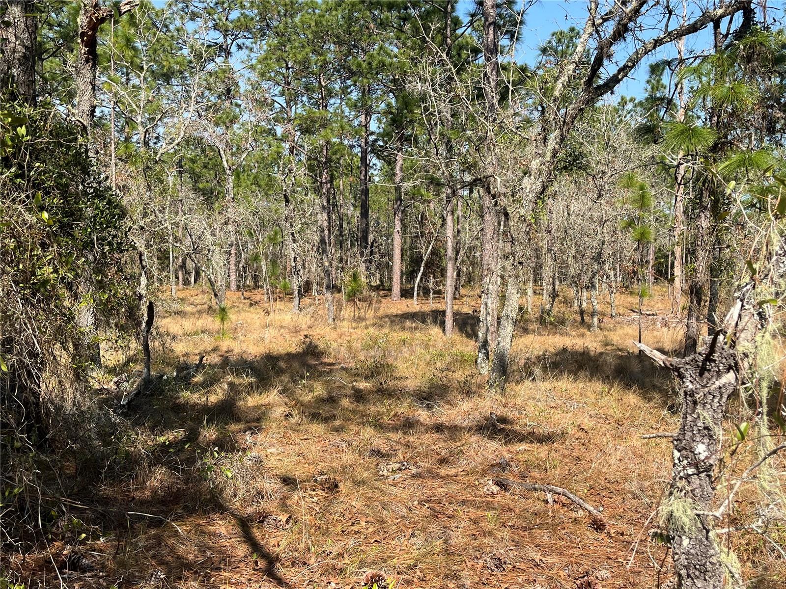 RAINBOW LAKES ESTATE - Land
