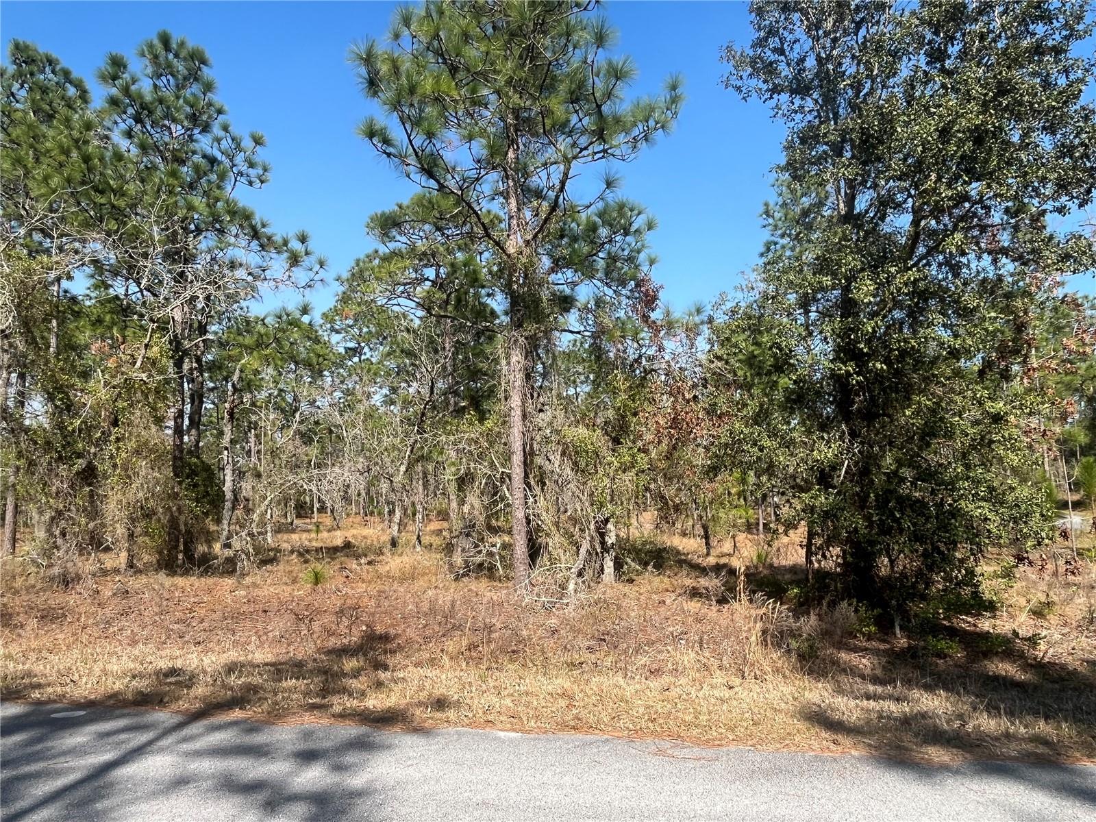 RAINBOW LAKES ESTATE - Land