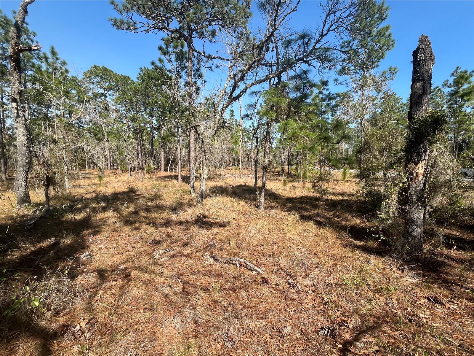 RAINBOW LAKES ESTATE - Land