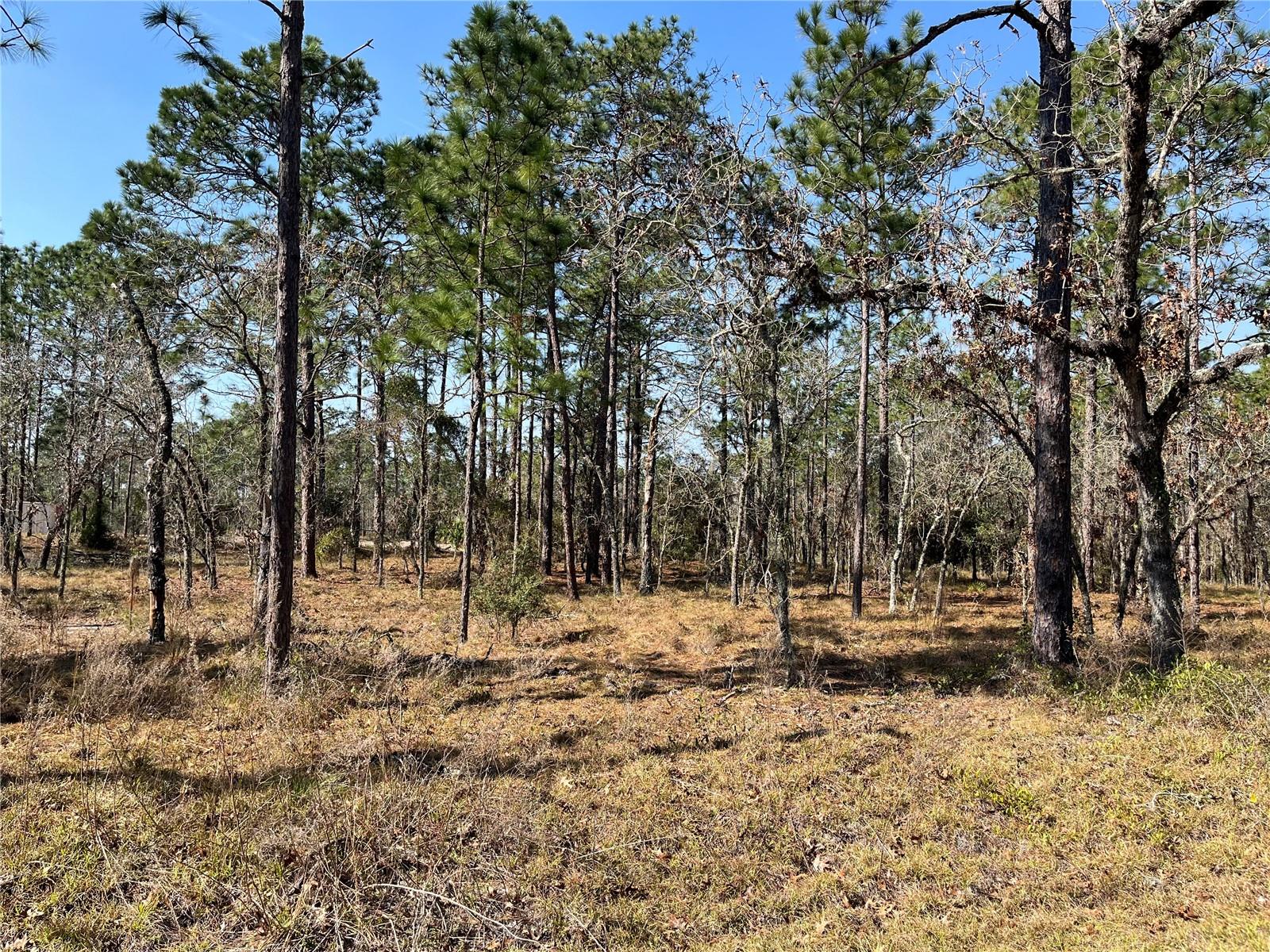 RAINBOW LAKES ESTATE - Land