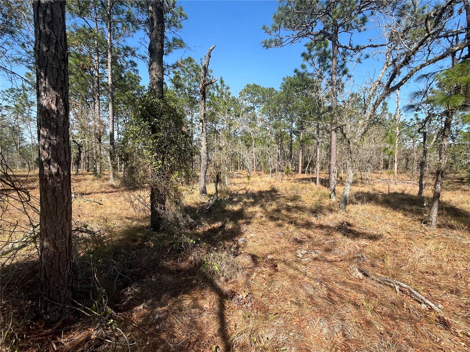 RAINBOW LAKES ESTATE - Land