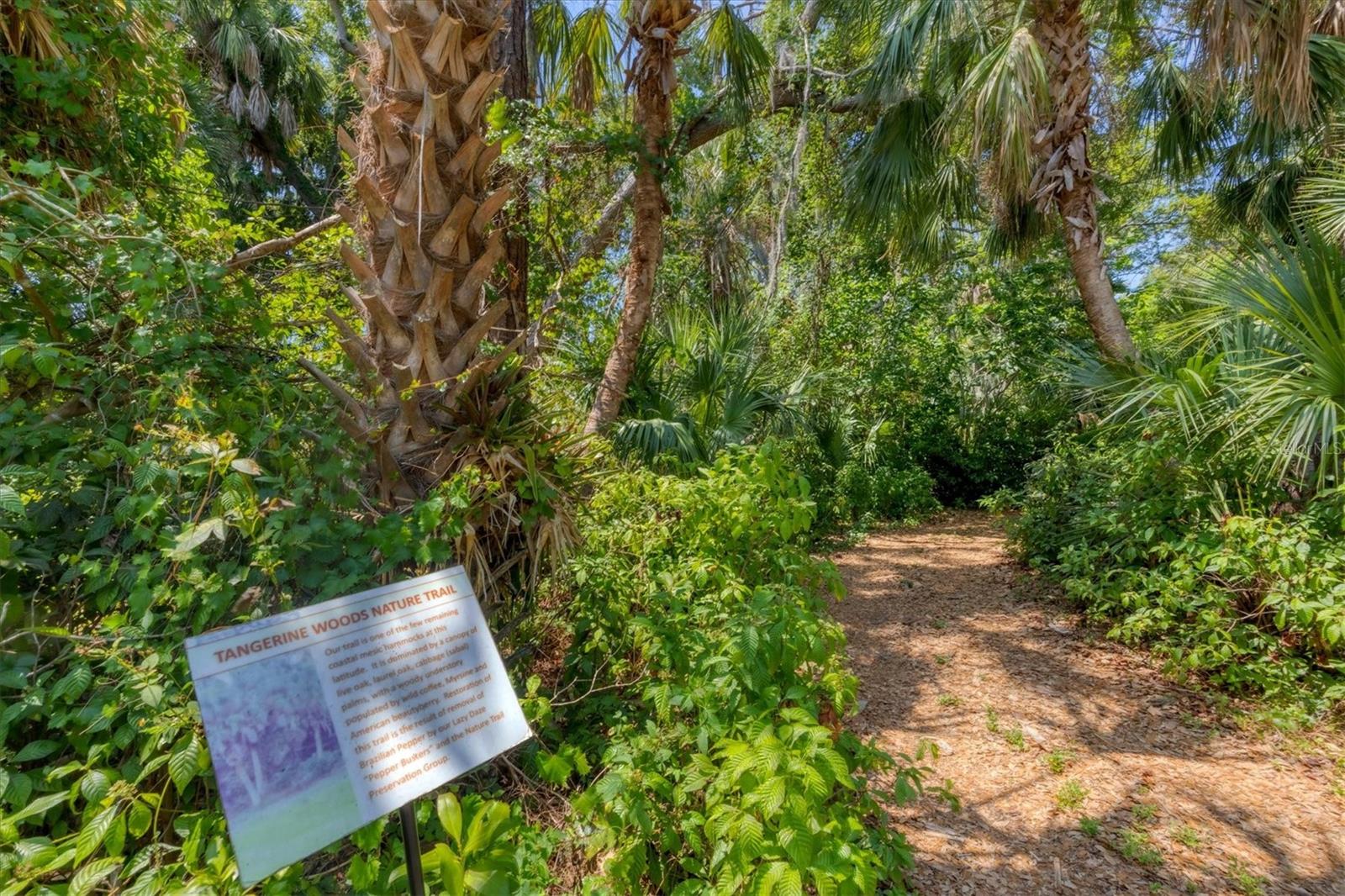 TANGERINE WOODS - Residential