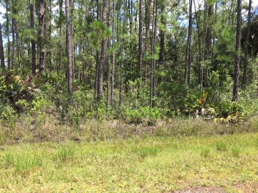 This half acre vacant lot is located in Indian Lake Estates, a well-established gated and private community in Polk County. A recreational development centered around Lake Weohyakapka also known as Lake Walk-in-Water. The community emphasizes an active outdoor lifestyle with amenities such as: Fishing and boating on large lake, golfing at the country club course and other recreational facilities for residents.
Great potential for a custom home build or investment opportunity.

The surrounding area offers a peaceful, rural-suburban setting in central Florida, about 14 miles east-southeast of Lake Wales. Indian Lake Estates is an unincorporated community with a small population around 900–1,200 residents and quiet living, somewhat private with a nature oriented atmosphere. Located within reasonable driving distance to Lake Wales, Winter Haven, and about an hour to Orlando.