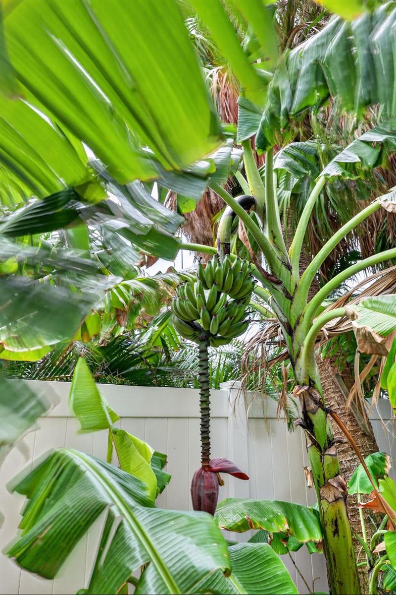 PARADISE ISLAND !ST ADD - Residential