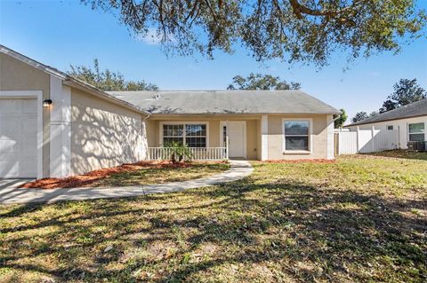808 SCENIC VIEW CIRCLE MINNEOLA FL 34715