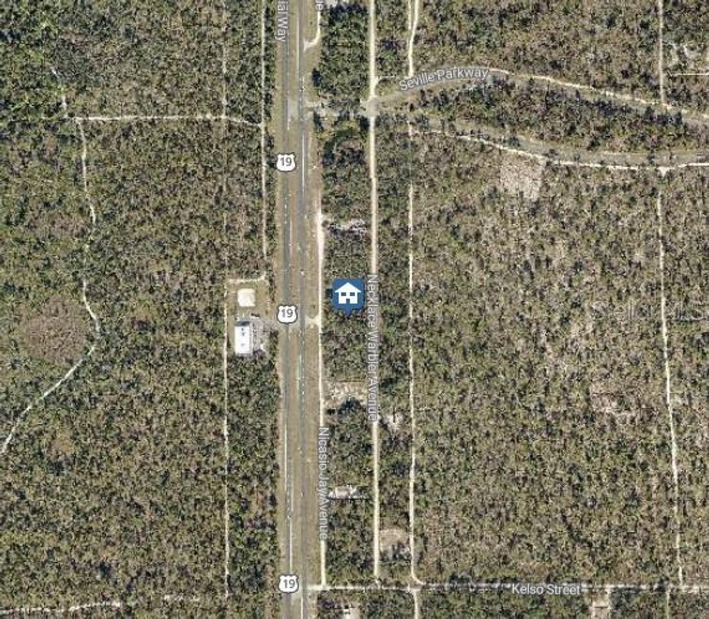 Photo of 14 Necklace Warbler, Weeki Wachee, FL 34614 (MLS # W7881613)