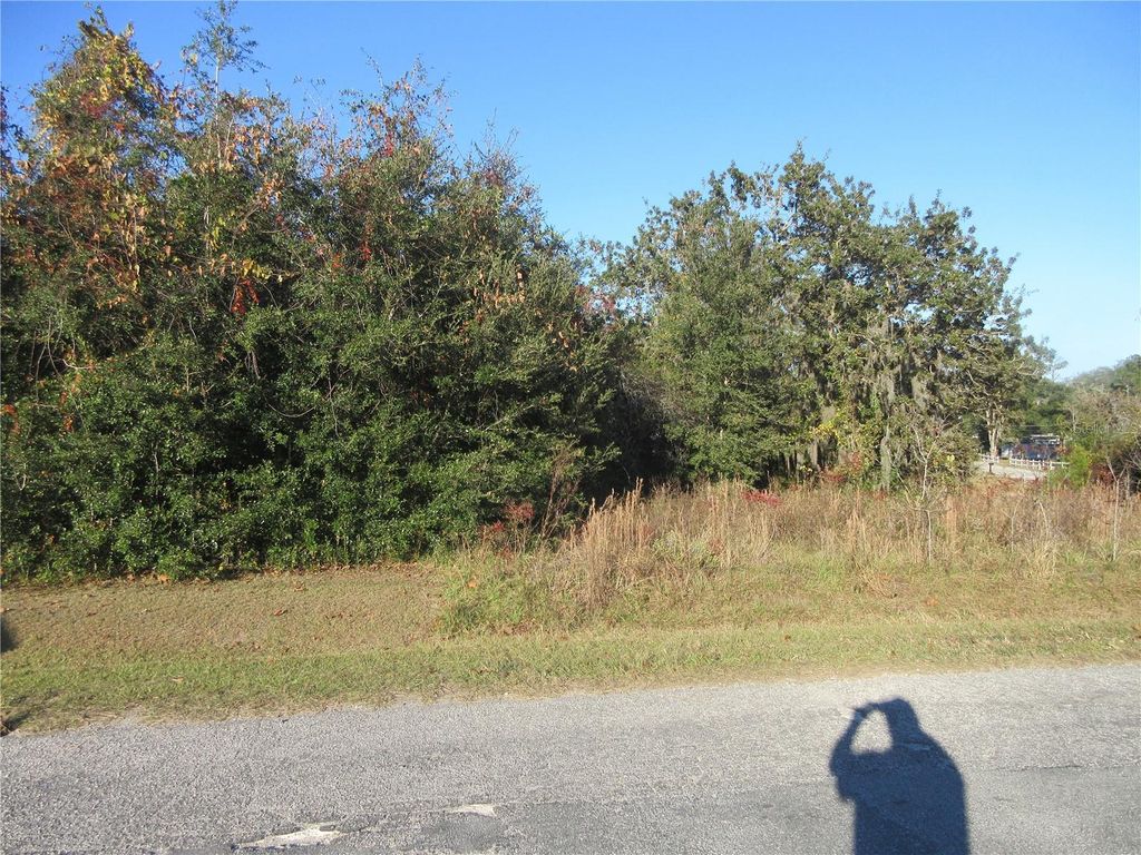 Photo of Tbd SE 17th Street, Ocklawaha, FL 32179 (MLS # OM713706)