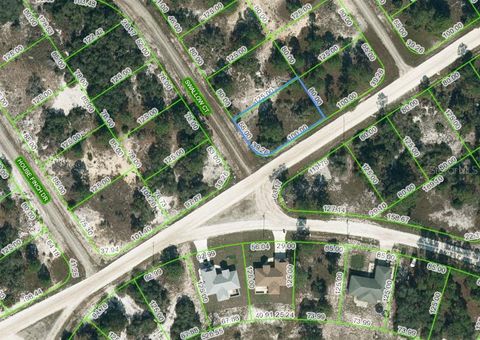 420 SWALLOW COURT LAKE PLACID FL 33852