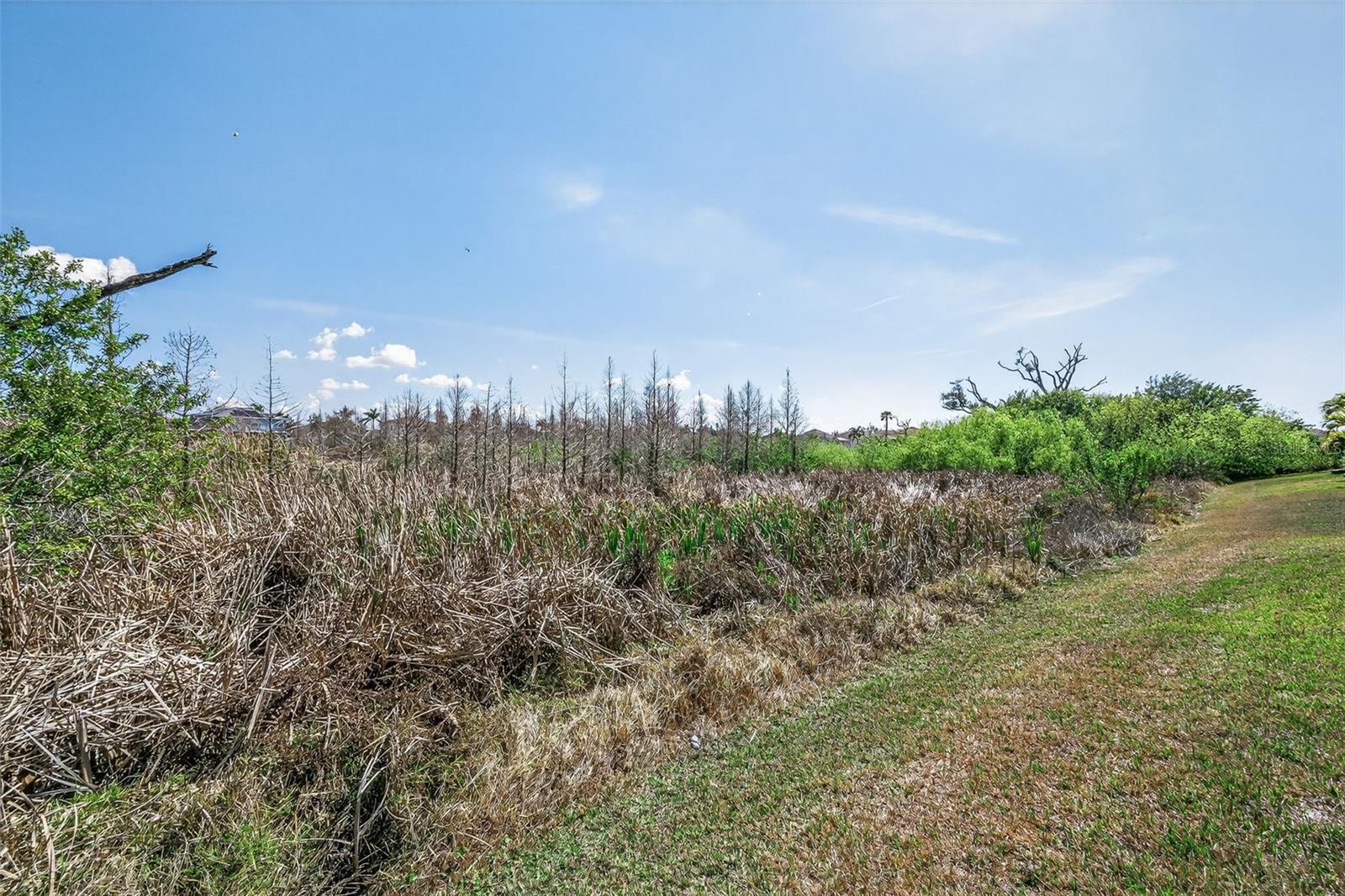 MIRA LAGO WEST PH 3 - Residential