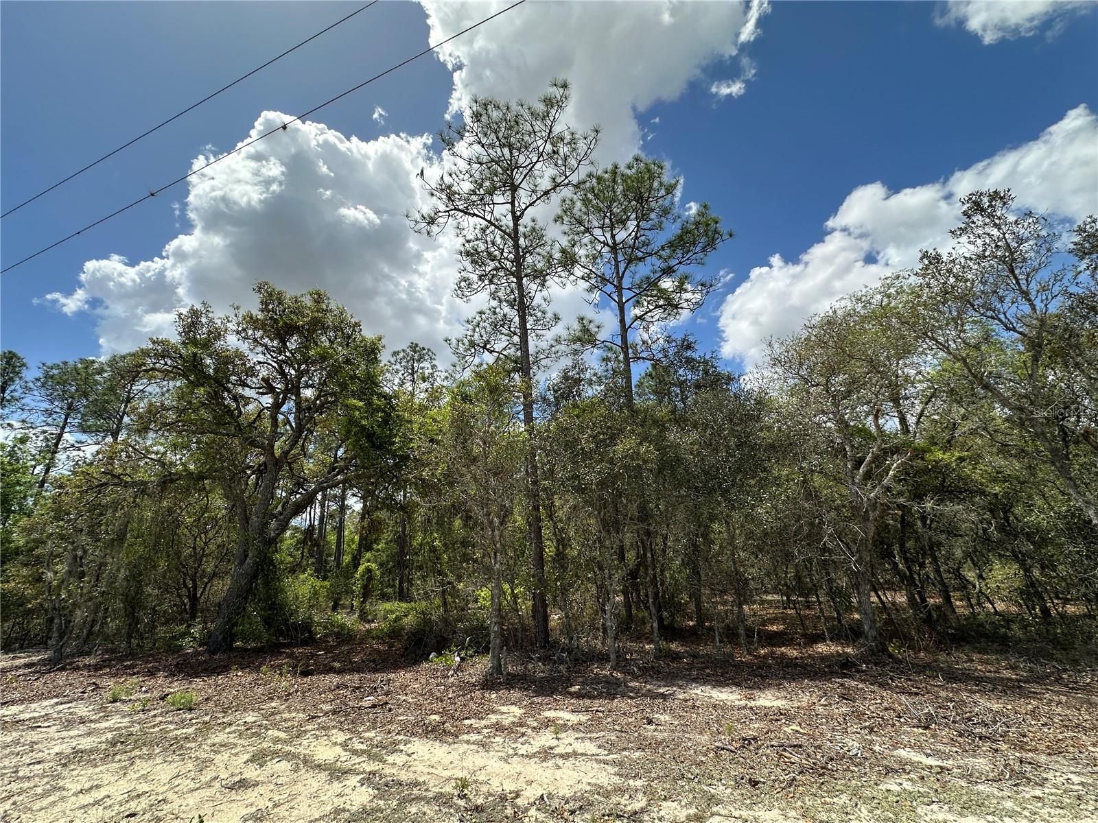 WILLISTON HIGHLANDS UNIT 7 - Land